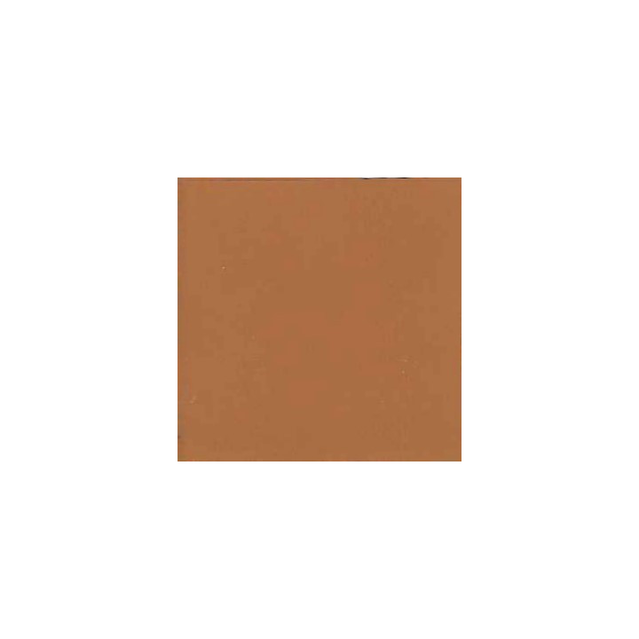 MORGAN'S PAINT AVANA 750 ML.